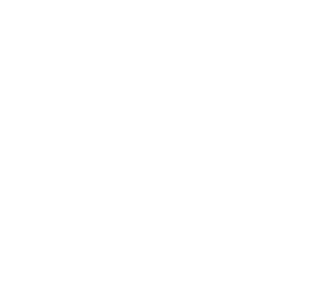 Logo ČAP